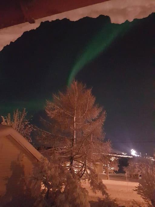 Spacious House In Tromso, Perfect For Groups Of Families, Tourists Or Workers Exteriör bild